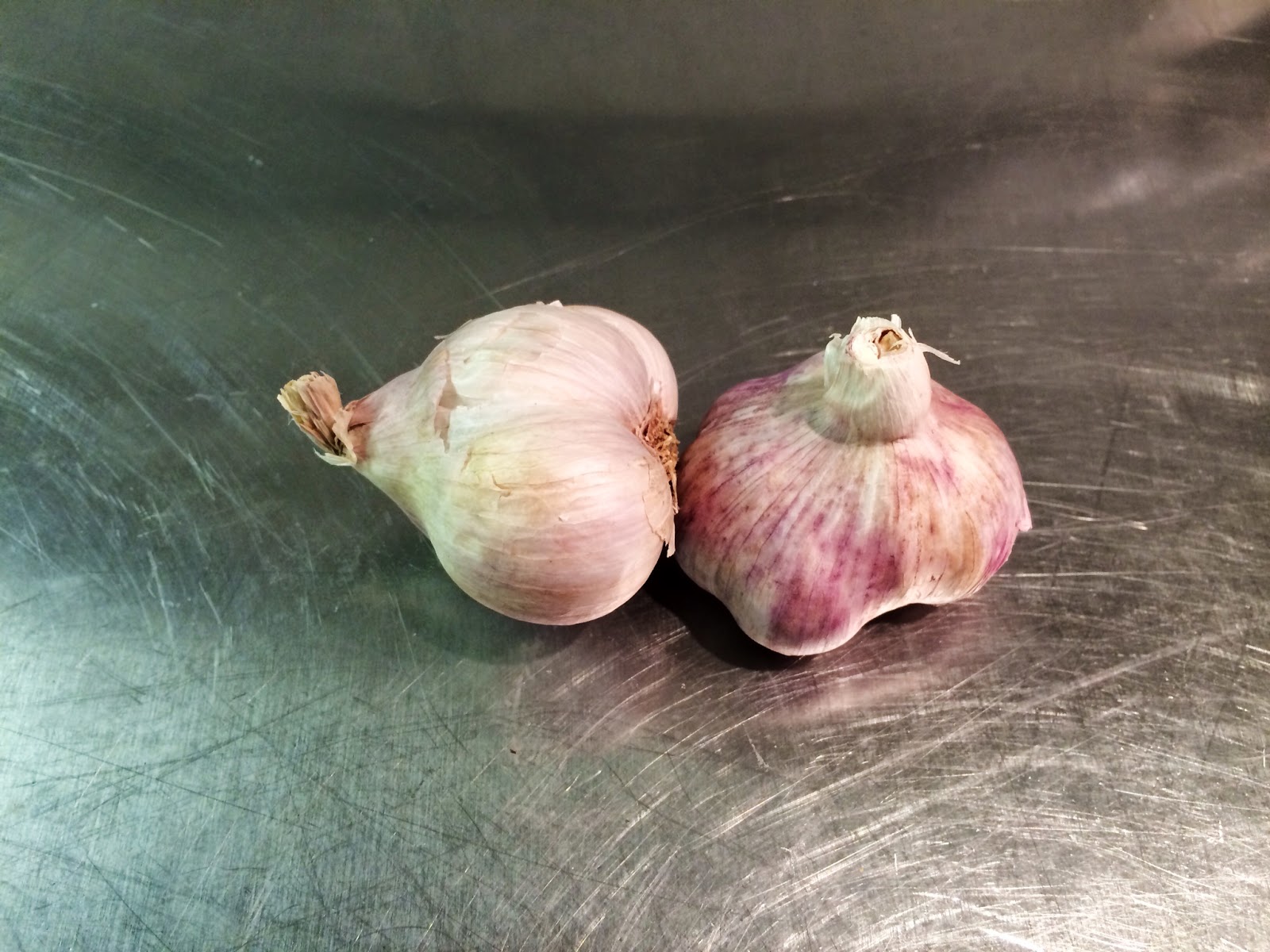 Gardening in the Heart of Virginia Garlic History, Uses, and How to