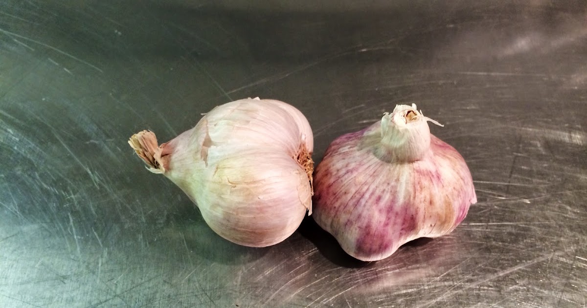 Gardening in the Heart of Virginia Garlic History, Uses