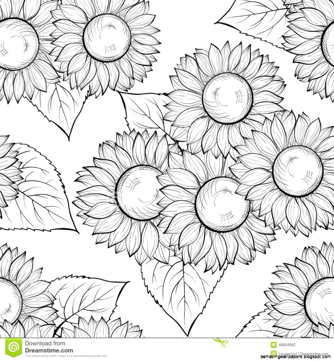 Sunflower Drawing Black And White