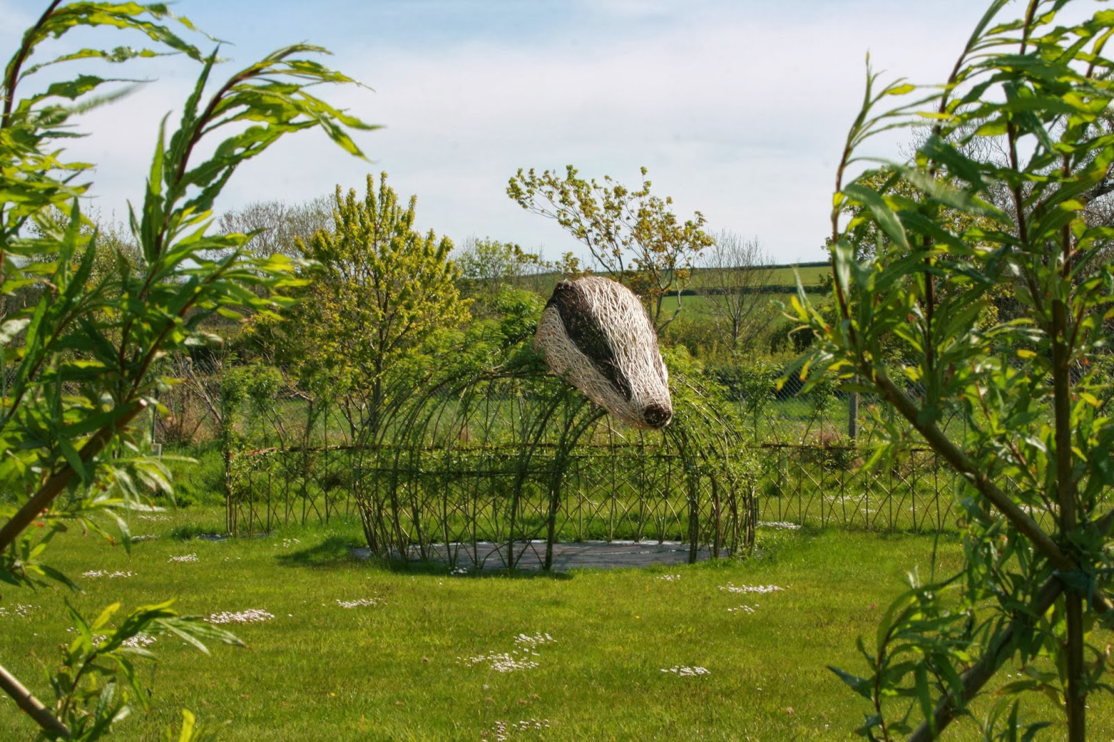 Living Willow Sculpture/Installation Commissions