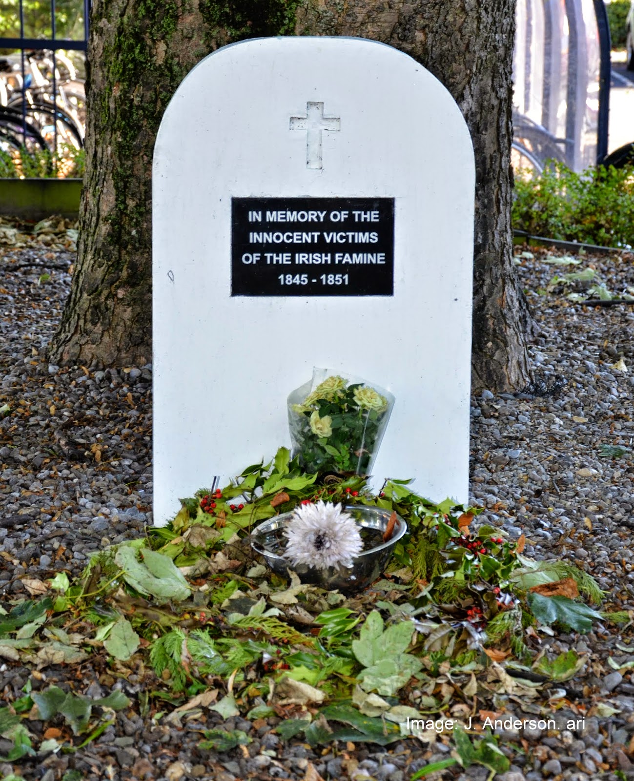 CRIME NEWS JOURNAL Dublin Pauper's Mass Grave Discovered On Site Of
