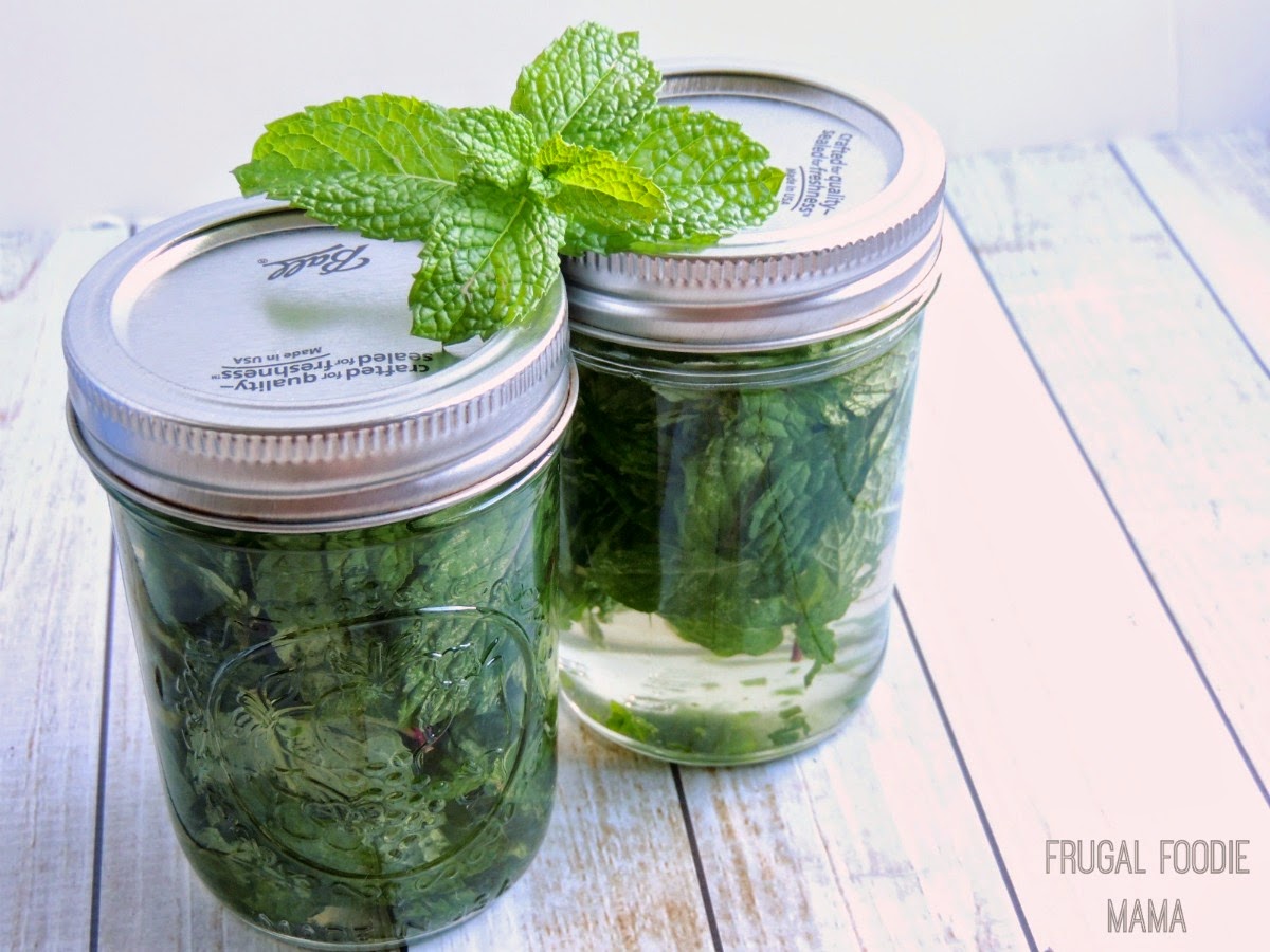 Frugal Foodie Mama Easy Homemade Mint Extract