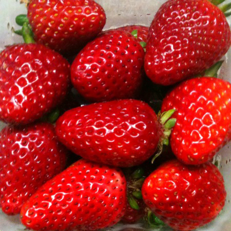 About Strawberries