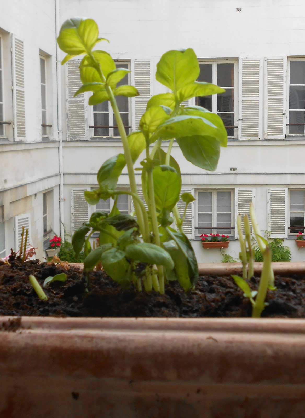 Add More Green May 2013