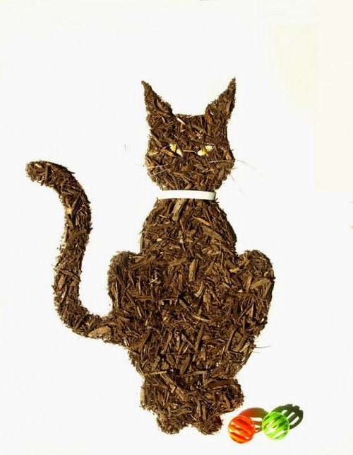 04-Cat-Photographer-Illustrator-Sarah-Rosado-Dirt-Art-Dirty-Little-Secrets-www-designstack-co
