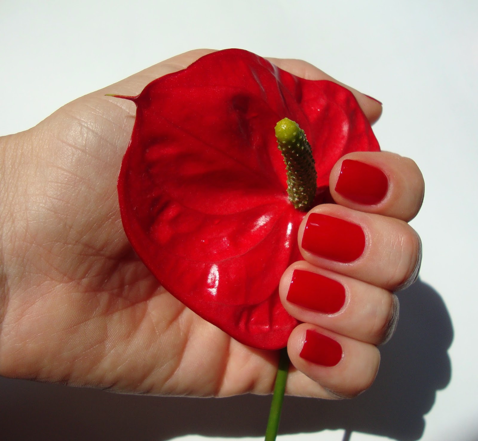 OPI Nail Lacquer A70 Red Hot Rio The OPI Brazil collection for spring/summer 2014