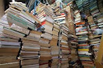 Theme & Wide Reading wiki for senior students