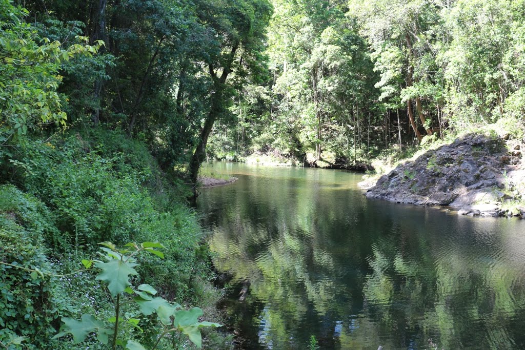 National Park Odyssey Cedar Grove Camping Area Amamoor State Forest Qld