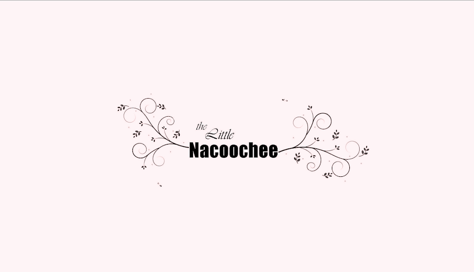 The Little Nacoochee