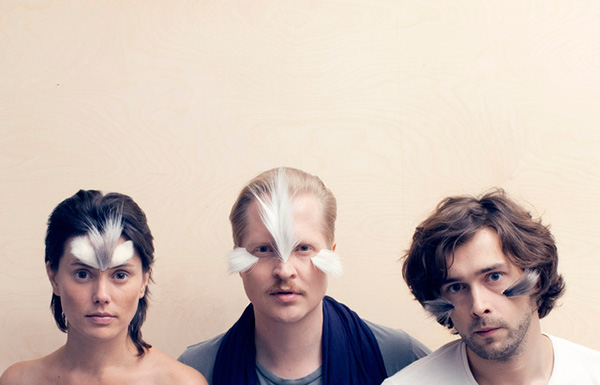 air purifier for ferret odor