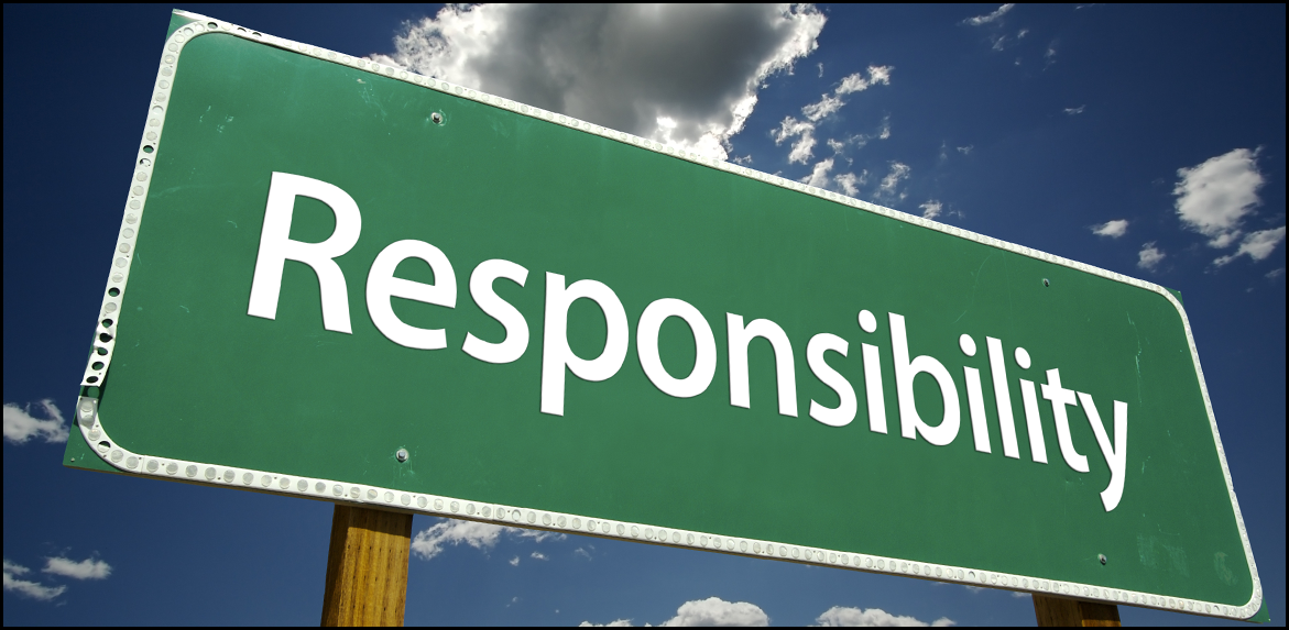 1.01. Accept full responsibility for their own work Application of