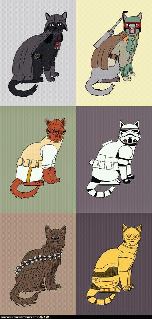 The Star Wars Culture Star Wars Cats