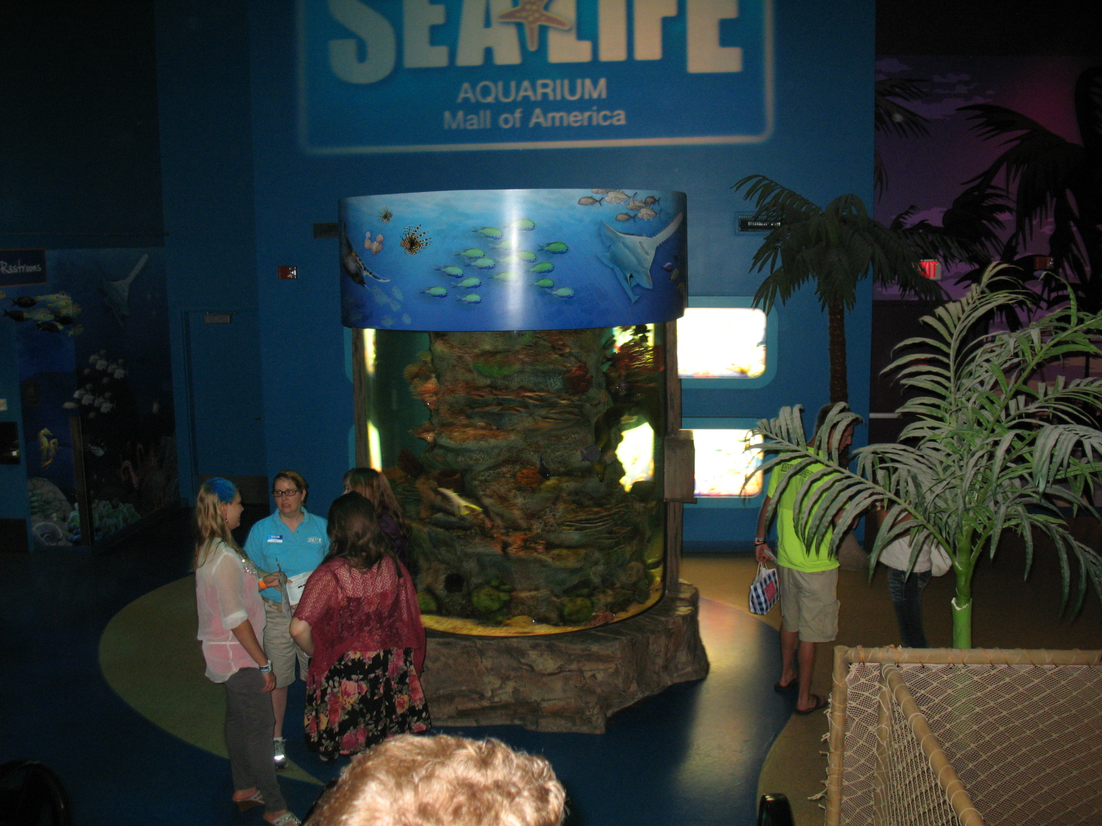 Sharks After Dark at SEA LIFE in MOA Review and Coupon Central