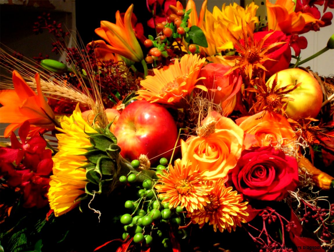 Autumn Flower Wallpapers Autumn Flower Wallpapers