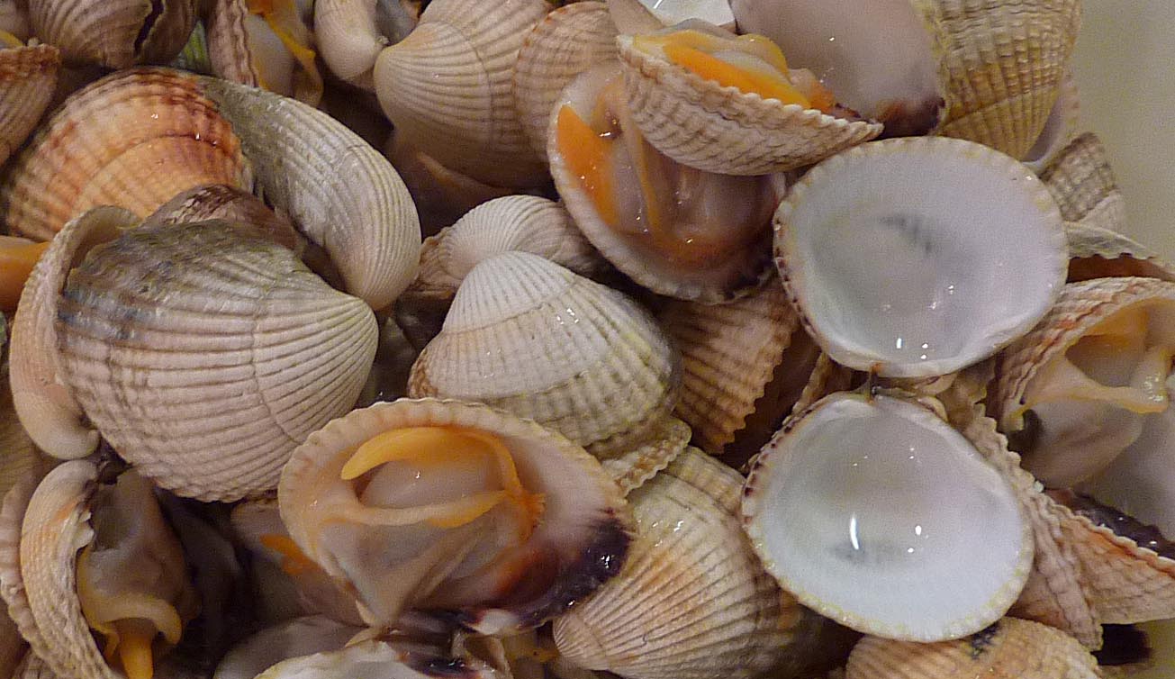 Living the life in SaintAignan Cockles in a cream and oregano sauce