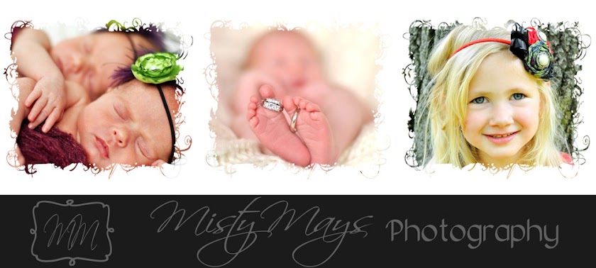 Misty May's Photography