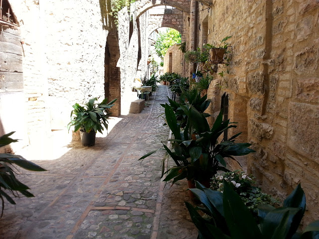 %25D0%25A1%25D0%25BF%25D0%25B5%25D0%25BB