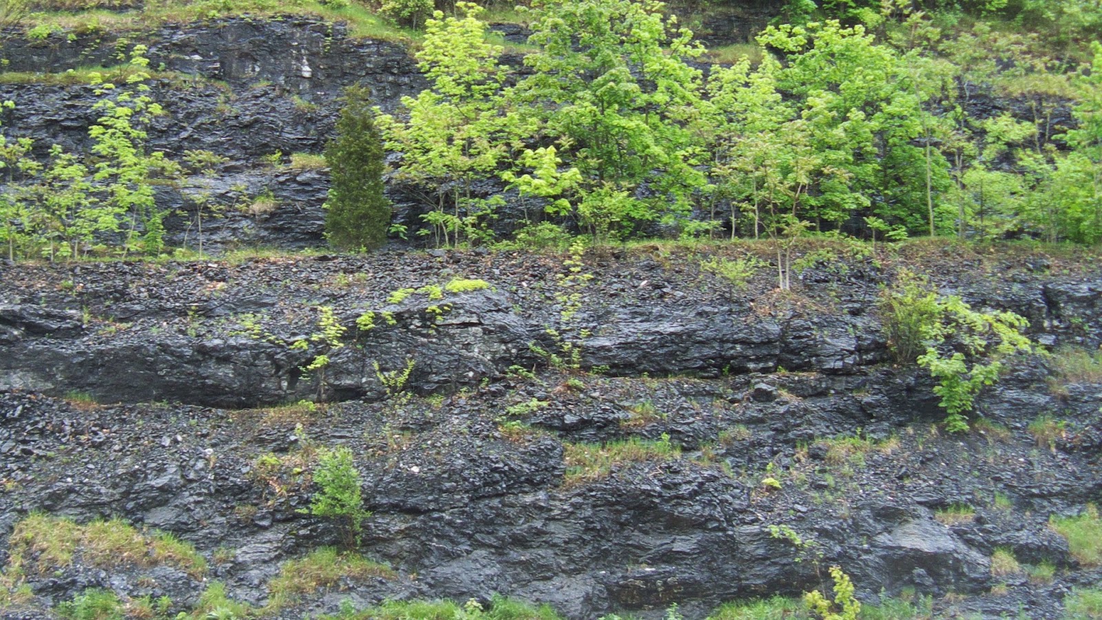 What The Frack? Marcellus and Utica Shales