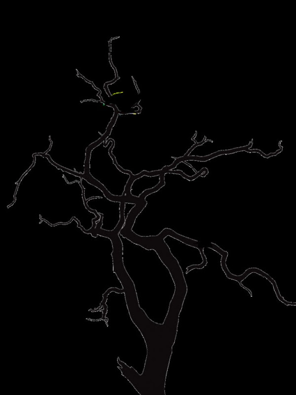 Tree wCrows Silhouette   ClipArt Best   ClipArt Best Tree wCrows Silhouette   ClipArt Best   ClipArt Best