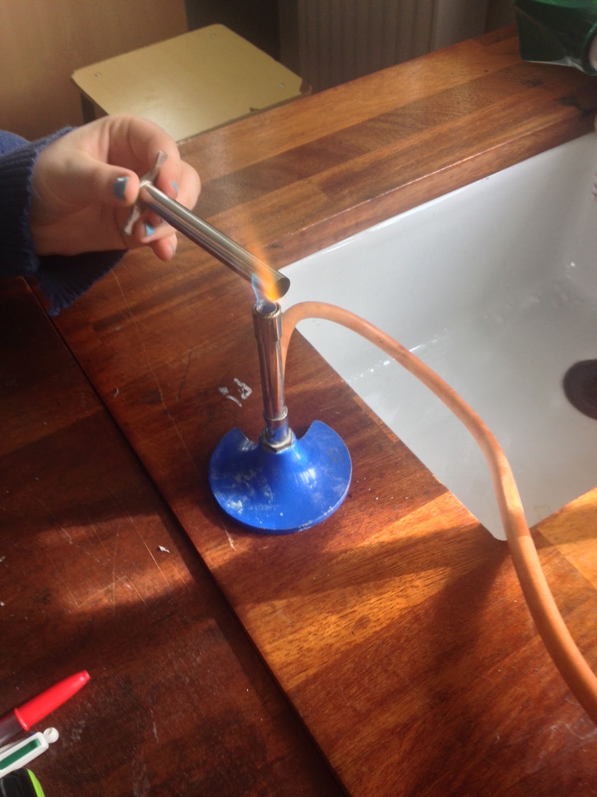 Magh Sci LC Biology Leaf Yeast Experiment