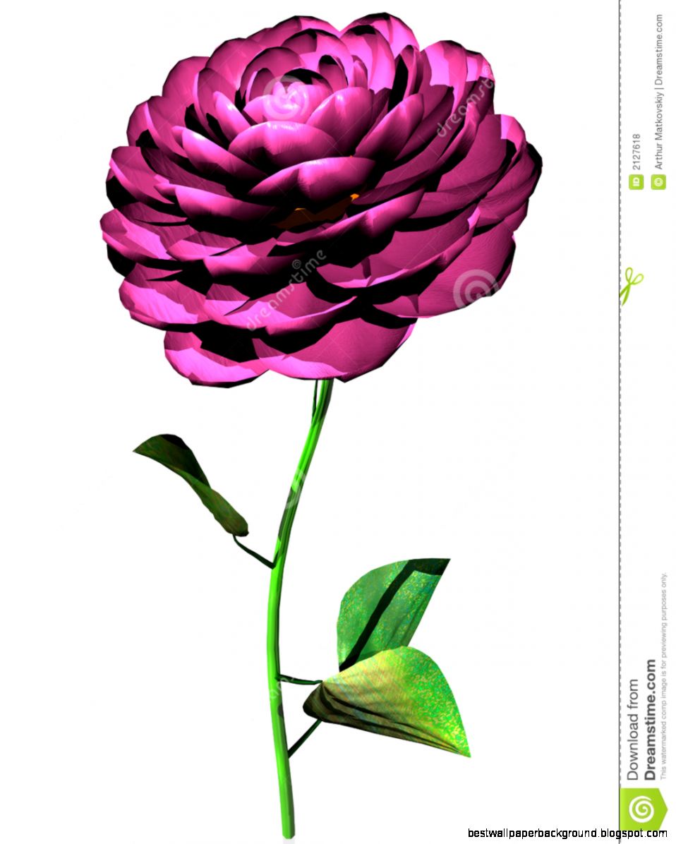 Pink Flower In 3d Royalty Free Stock Photos Image 2127618 Pink Flower In 3d Royalty Free Stock Photos Image 2127618