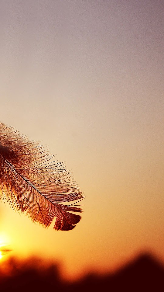Samsung Galaxy Note 3 Stock Feather Sunset  Galaxy Note HD Wallpaper