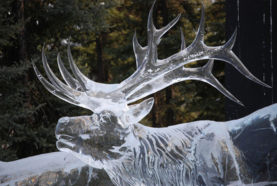 ice-sculpture-34_Abcux_24429.jpg