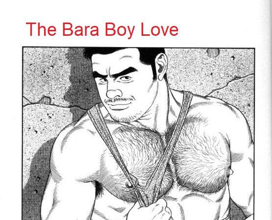 The Bara Boy Love