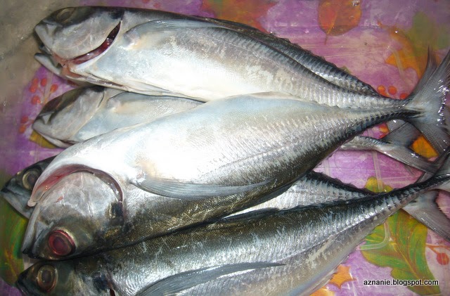 Resepi Ikan Cencaru Bakar Air Asam