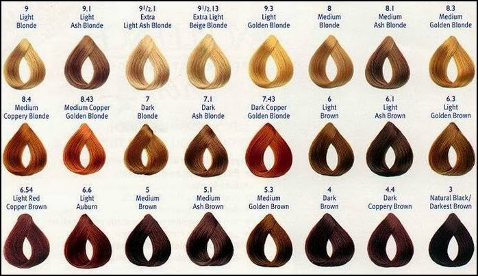 Different Shades Of Hair Color Chart