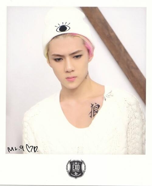 Scan Exo Everysing Polaroid Exo