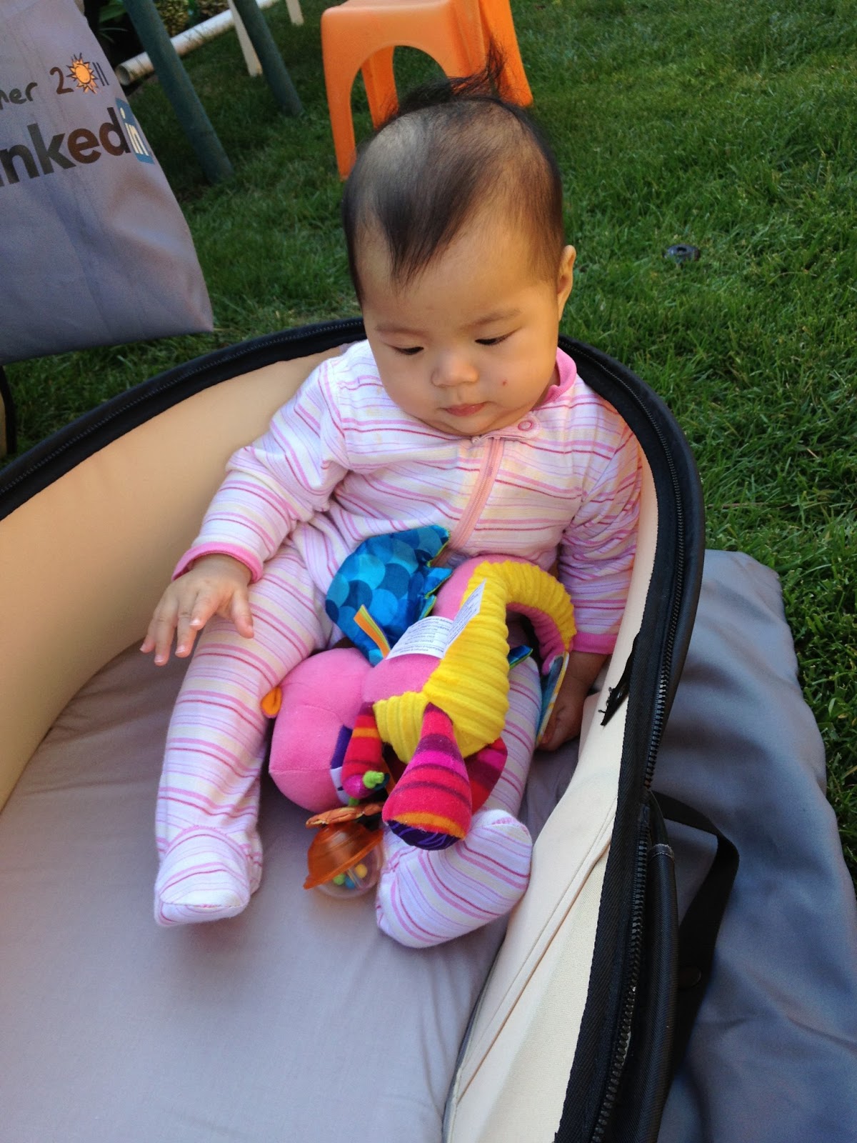 phil and teds travel nest