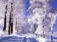 Итоги 93-й недели инвестирования в ПАММ-счета Fx-trend