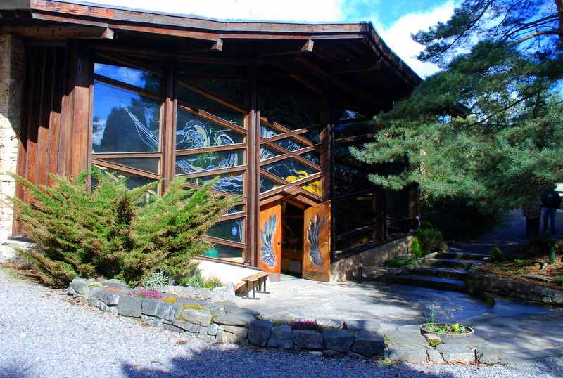 The Incessant Ramblings of a Forty Something