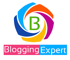 Blogging Expert