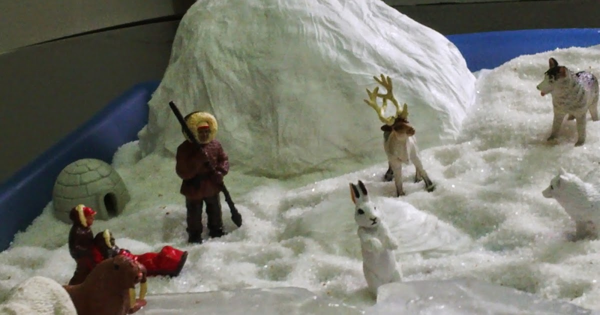 Rüzgar ım için montessori ev okulu(montessori homeschool) kuzey kutbu