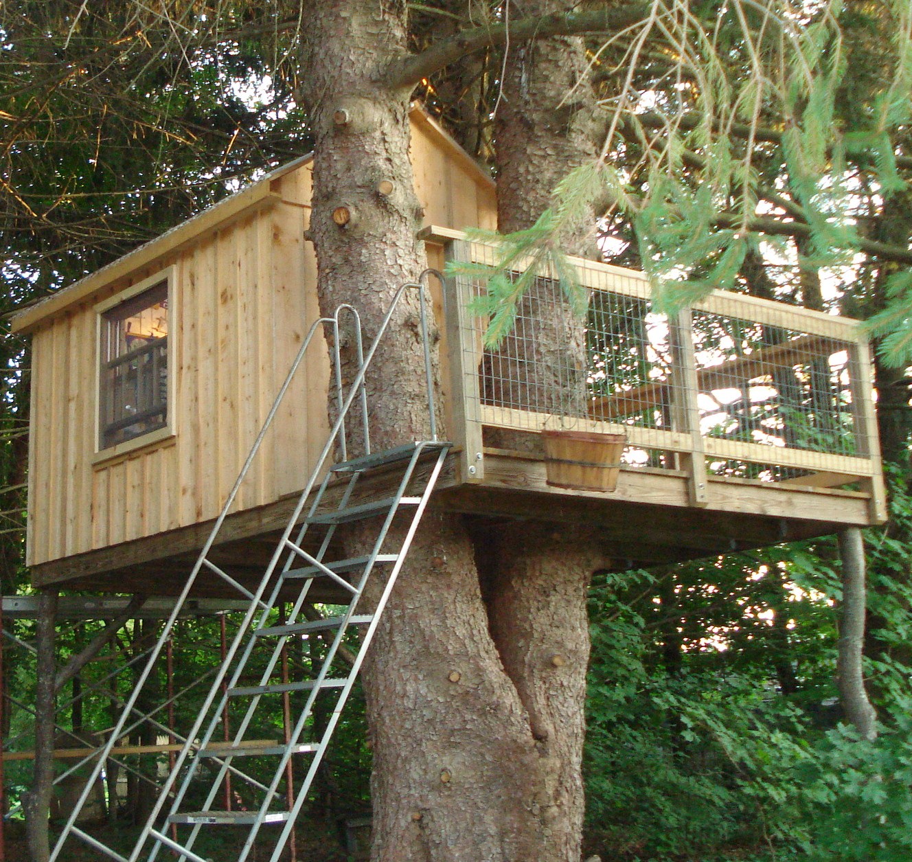 1000+ images about Tree house fort ideas backyard on Pinterest