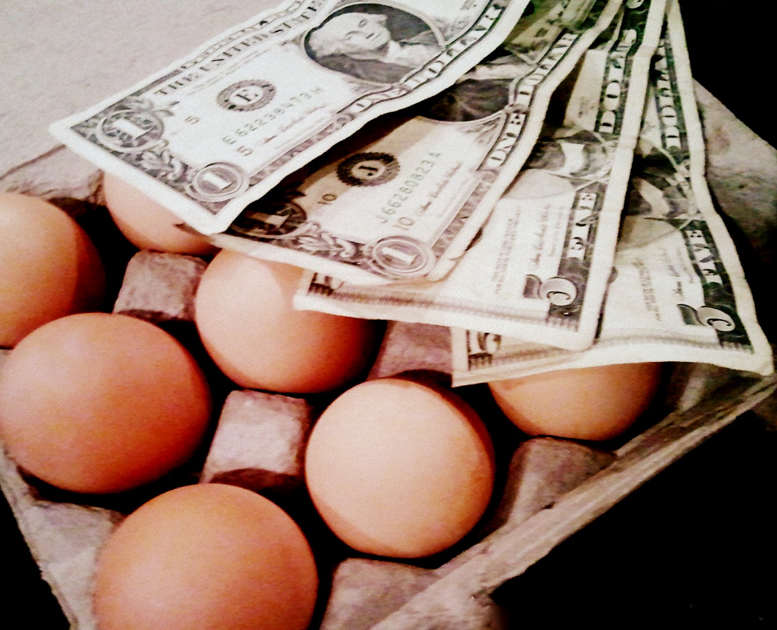 Selling Your Eggs Fresh Eggs Daily®