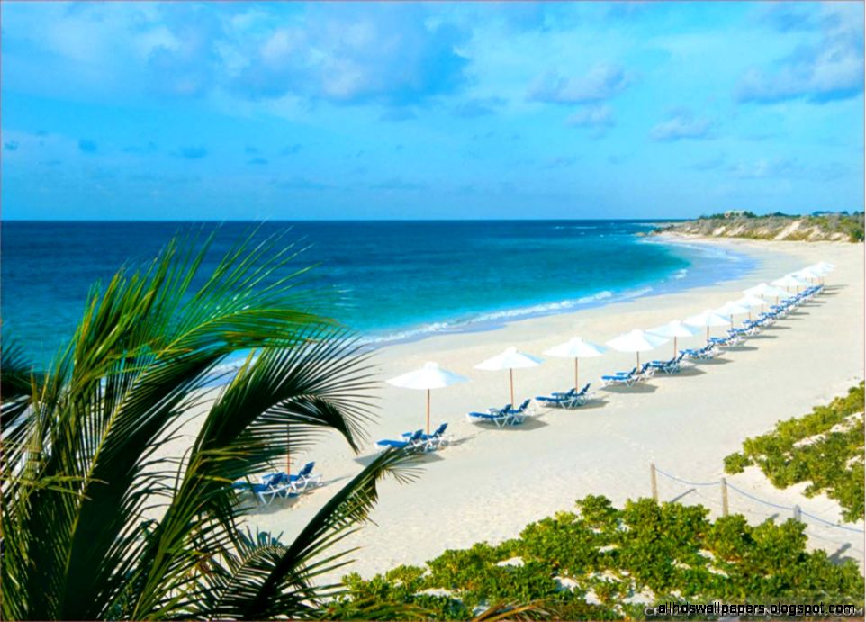 Hawaii wallpapers Crazy Frankenstein Hawaii wallpapers Crazy Frankenstein