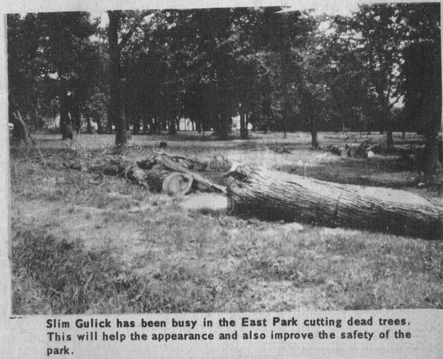 Rich Hill Missouri History Pictures from the Mining Review June 28,1973
