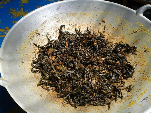 Bicara Resepi Rendang Pucuk Ubi