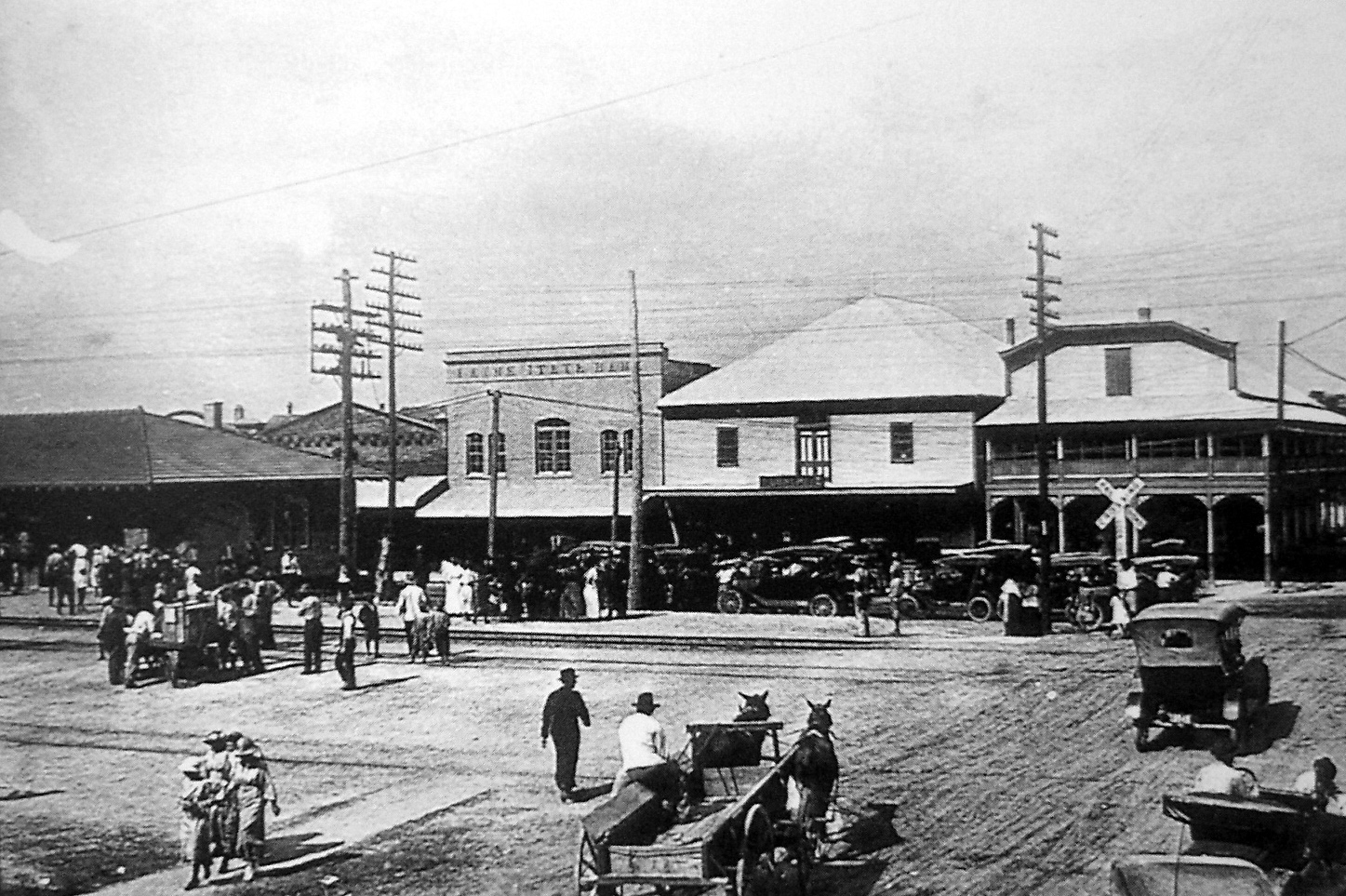 Tangled Roots and Trees The Elusive Henry "Jack" Muir