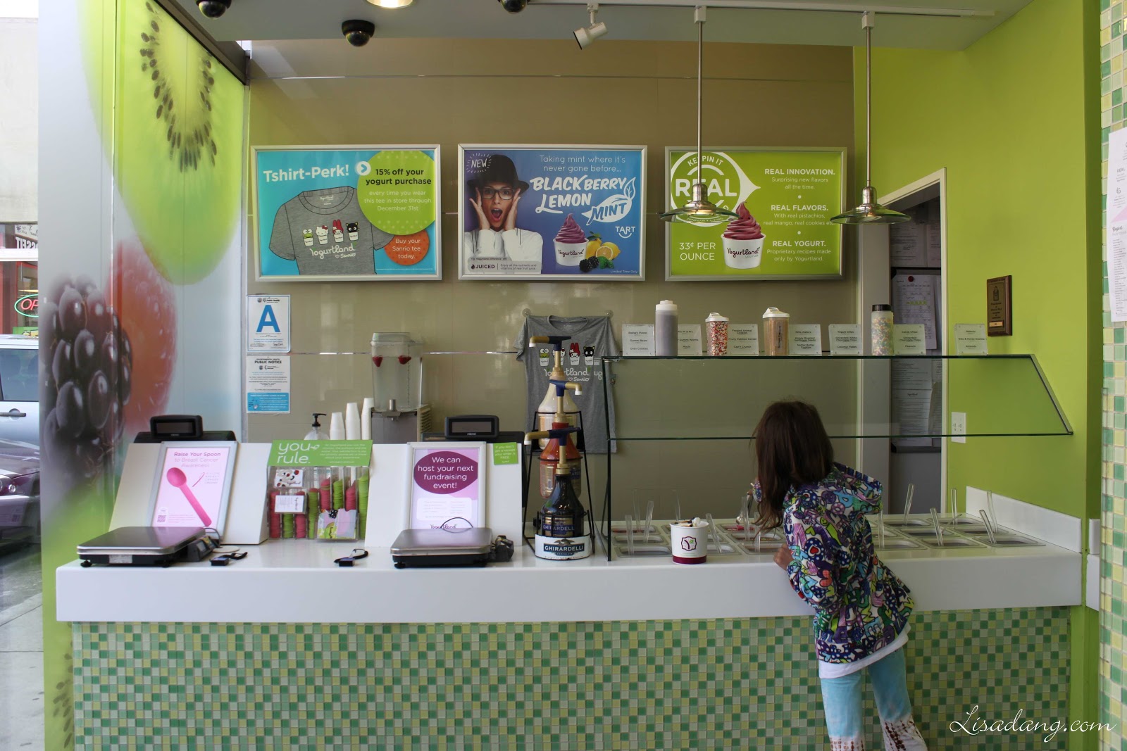 Dang It Delicious Yogurtland...and The Cheesecake Factory at The Grove