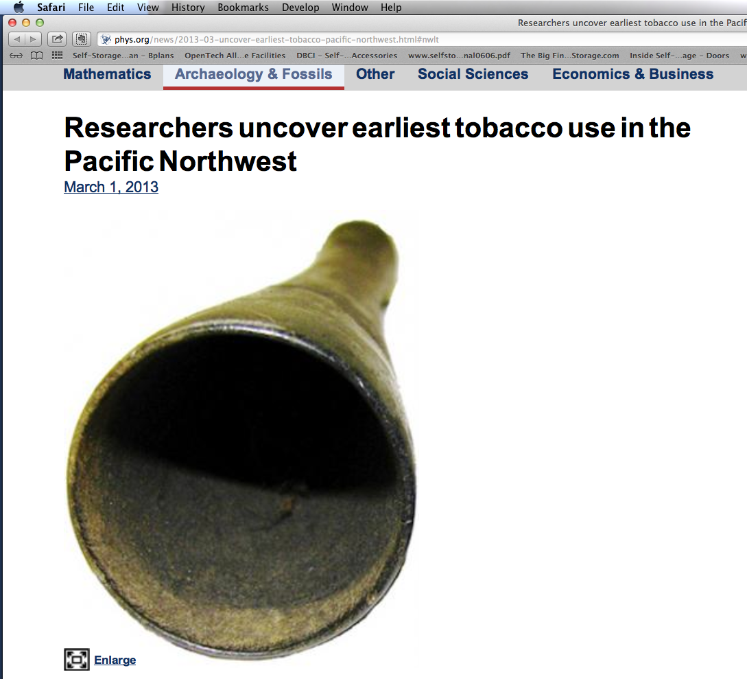 The Subversive Archaeologist Complete This Sentence Put That In Your