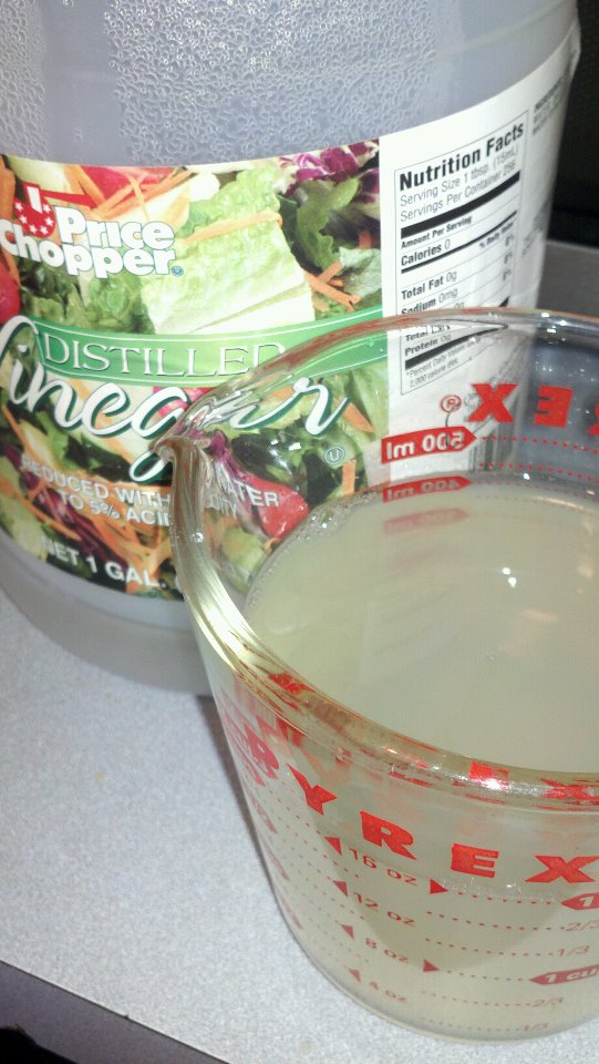 ramblingstump Cleaning a Front Loading Washer (and Getting the Most