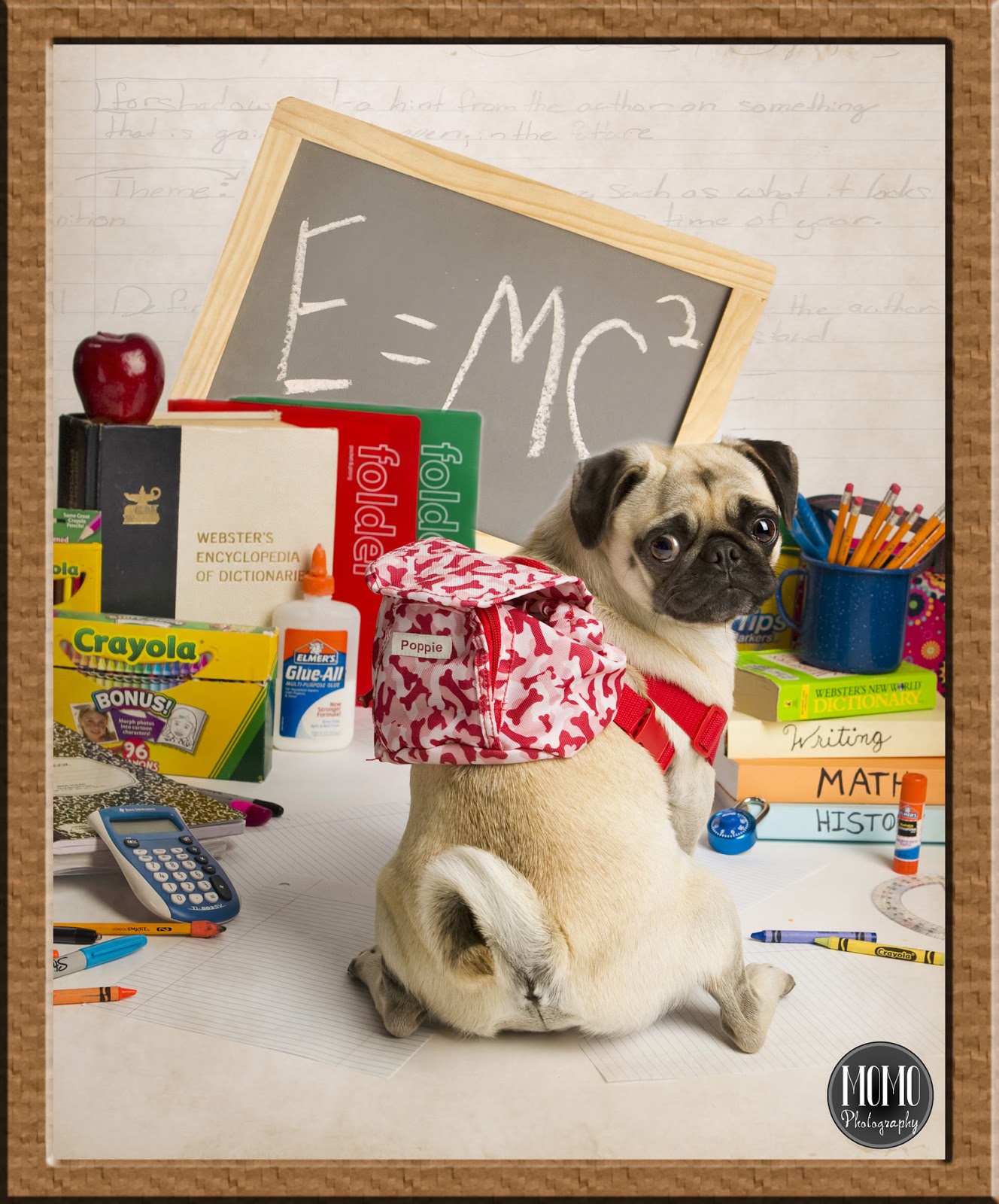 Pug+to+School+FB.jpg