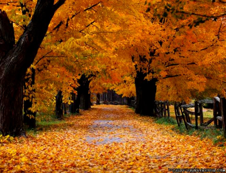 Autumn Seasonal wallpapers page 2 Crazy Frankenstein Autumn Seasonal wallpapers page 2 Crazy Frankenstein