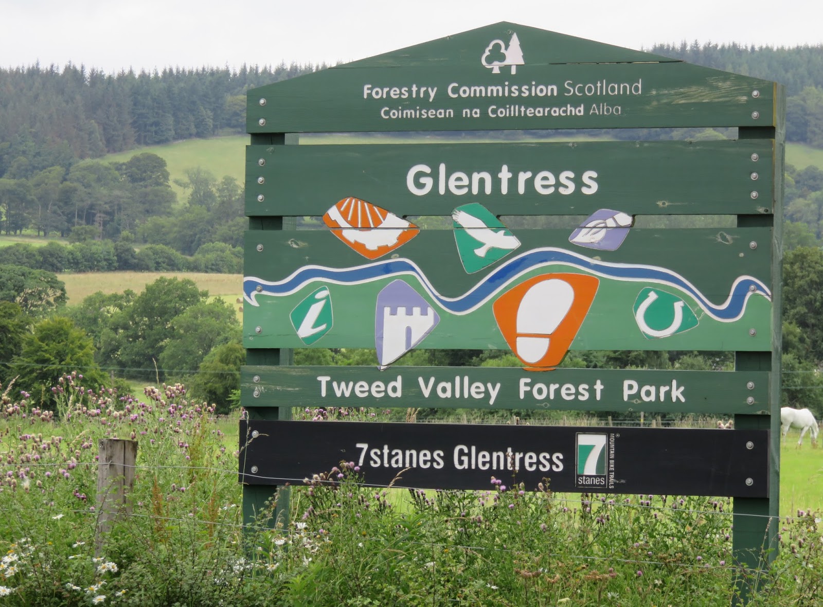 glentress red route