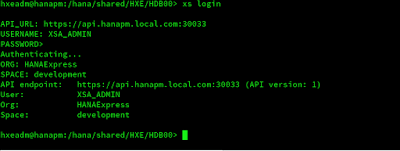 Getting Started with Python on SAP HANA XSA