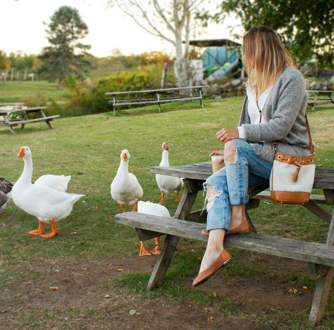 H&M Opening at Fox Run Mall in New Hampshire - The Boston Fashionista